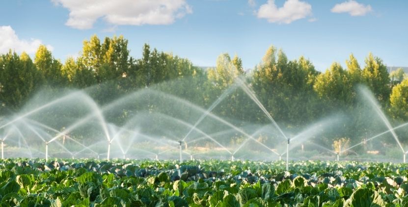 Pemanfaatan IoT dalam Sistem Irigasi Pintar untuk Petani Modern